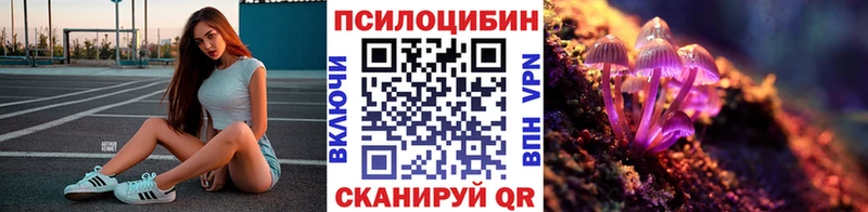 Псилоцибиновые грибы GOLDEN TEACHER  Багратионовск 